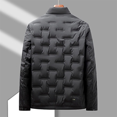 男士短款羽绒服冬季保暖爸爸中老年冬装时尚立领外套HO23126-P190，男装羽绒服，星座1105-3