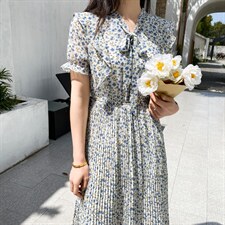 连衣裙，女装连衣裙，德尔菲娜