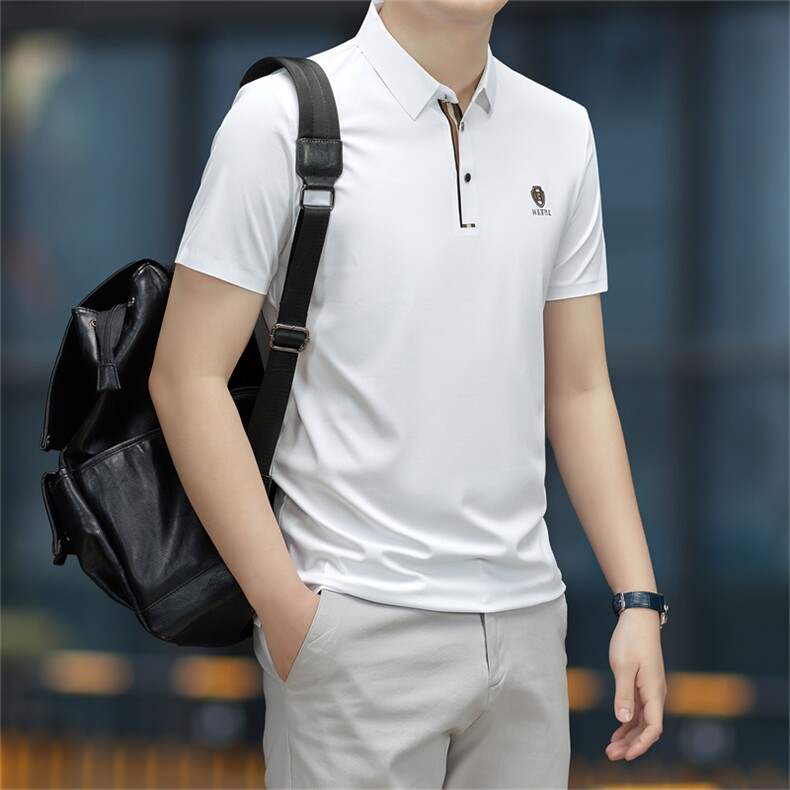 2023夏季新款短袖T恤保罗polo衫中年商务休闲男装半袖翻领男薄款,男装Polo衫,电商B212（原钱塘6029）