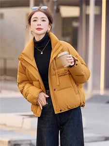 时尚洋气短款立领白鸭绒羽绒服女2025冬新款韩版设计感图片