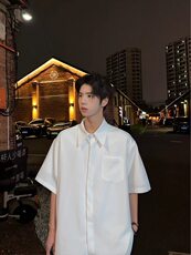 夏季冰丝上衣翻领宽松半袖免烫暗扣衬衫垂感短袖衬衣DX9958P35特，男装衬衫，电商D256-1(原A064-1)