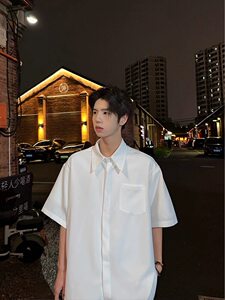 夏季冰丝上衣翻领宽松半袖免烫暗扣衬衫垂感短袖衬衣DX9958 P35特图片