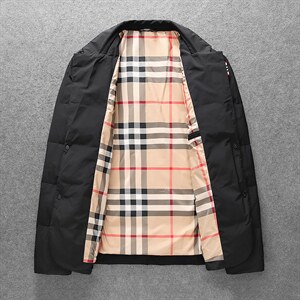 新款男士羽绒服西装羽绒时尚外套2216p270控价355图片