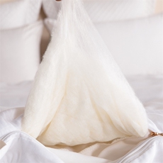 新款冬被二合一子母被加厚全棉大豆双蛋白被子被芯，被套/被芯，一起卖家纺