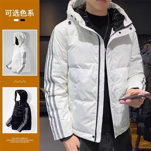 现货 外贸侧飞图立领光板团体服班服宽松韩版情侣学生外套羽绒服图片