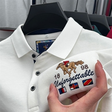 长袖t恤男2023春秋季新款翻领polo衫休闲男装秋冬款打底衫上衣服，男装T恤，电商B212（原钱塘6029）