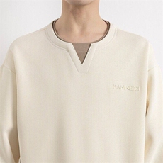 W25225-特P55春秋时尚休闲卫衣男打底衫，男装卫衣，电商D310B