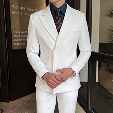 品质西服套装男两件套韩版修身商务休闲西装婚礼西装KTZ911-P270，男装西服套装，星座1105-3