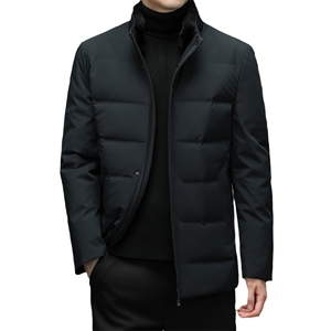 羽绒服男装秋冬季厚款上衣中老年人宽松可脱卸毛领外套A9606-P290图片