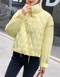 2021 新款秋轻薄设计款秋羽绒服图片