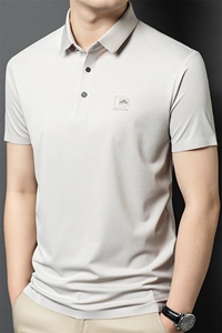 R-GS51105夏季男士新款短袖T恤青年修身体恤商务休闲POLO衫图片