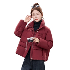 简约时尚潮流羽绒服休闲显瘦减龄冬季立领纯色女外套，女装羽绒服，姿衣坊