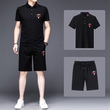 2023新款男士休闲运动套装中年男装夏季翻领短袖t恤冰丝一套衣服，男装休闲套装，电商B212（原钱塘6029）