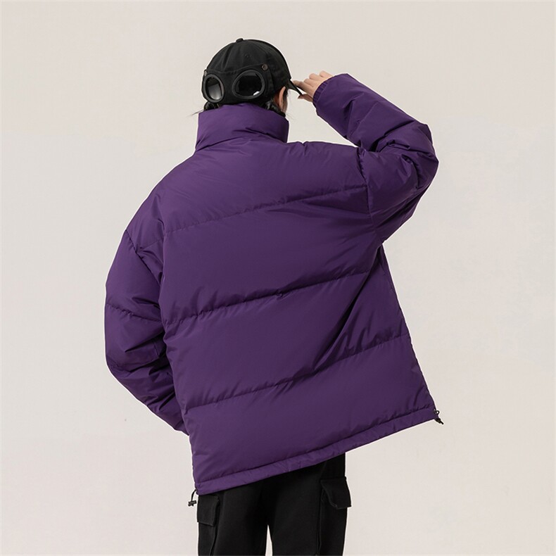 新标白鸭绒简约休闲立领外套纯色潮流加厚羽绒服ESY0215-P150,男装羽绒服,电商B306