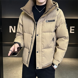 标90白鸭绒男装羽绒服连帽款外套C317-Y865-P255图片