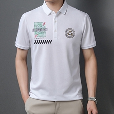 polo衫短袖男夏季潮牌2023新款半袖上衣宽松翻领t恤男，男装T恤，电商B212（原钱塘6029）