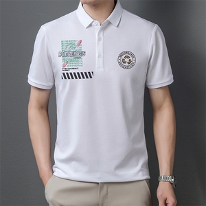 polo衫短袖男夏季潮牌2023新款半袖上衣宽松翻领t恤男图片