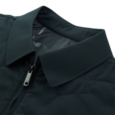 中年男士冬季宽松休闲翻领棉袄厚款羽绒棉服外套SNNMF82276-P205，男装棉衣，电商B212（原钱塘6029）