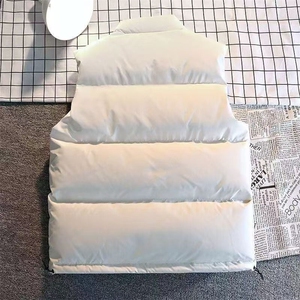 1506/QYY010/P47棉服马甲秋冬穿韩版无袖背心立领坎肩洋气外套潮图片