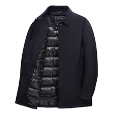 BAMJ-8989钱塘2020-2中年男士冬季厚款商务休闲简约羽绒服P225，男装羽绒服，钱塘207-2