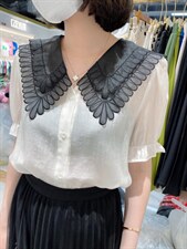 衬衣领短袖，其它，泰靡(1F)