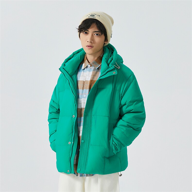 新标90白鸭绒简约休闲连帽外套纯色加厚羽绒服ESY0209-P210，男装羽绒服，电商B306
