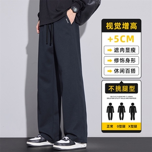 秋季男款青少年休闲运动裤松紧直筒裤卫裤垂顺宽松裤子Z2573-P45图片