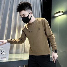 痞帅高级感绣标男士套头打底毛衣社会小伙店主风301C-M60-P48控68，男装针织衫/毛衣，星座301C（原B323）