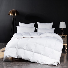 新款150支全棉提花俏佳人羽绒被，被套/被芯，一起卖家纺