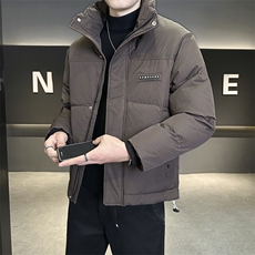 店主风2025年新款时尚立领潮流保暖羽绒服男A236-G66-P195，男装羽绒服，电商A236