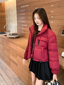现货新款2180-P200-K299小个子羽绒服图片