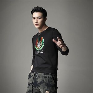 男圆领卫衣刺绣工艺个性潮时尚秋冬男 标准码 货号6011-1图片