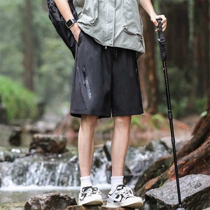 特批25 五分裤休闲沙滩裤速干透气裤宽松花短裤DK24011 P-25图片