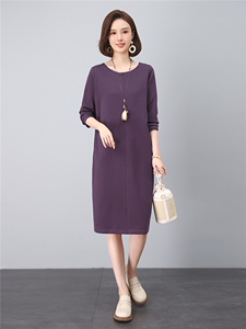 2025年秋季春秋中长款优雅气质针织U型领常规袖休闲连衣裙图片