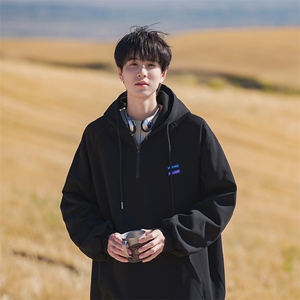 B225-A6465-P63-X79-    -贴标卫衣-100聚酯纤维图片