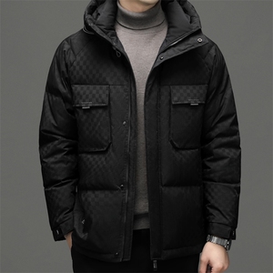 DF22619钱塘2020-2冬季厚款商务休闲有帽中年男士羽绒服P265图片