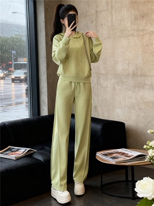 女秋季网红炸街时尚运动套装盐系穿搭纯色连帽卫衣阔腿长裤两件套图片