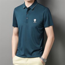 男士短袖t恤2023夏季免烫半袖男装中老年宽松翻领POLO衫，男装T恤，电商B212（原钱塘6029）