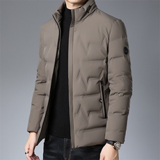 AN9072钱塘2020-3秋冬新款中年男士休闲立领保暖羽绒服外套P190，男装羽绒服，钱塘207-3