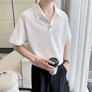 W9785-P32 网图现货 冰丝polo衫短袖夏季薄款韩版高级感针织半袖图片