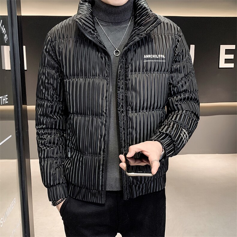羽绒服男冬季2025新款条纹立领男士外套A313-8801-P100特批,男装羽绒服,电商A313
