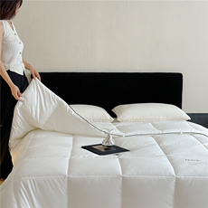 新款康纶航天系列康纶暖绒被，被套/被芯，一起卖家纺