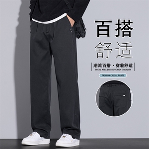 2025新款秋天裤子男款简约直筒裤潮帅气休闲裤长裤百搭K6661-P50图片