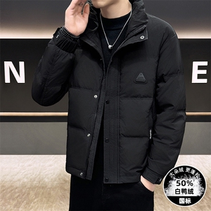 DS-A225标2025冬季新款男士立领时尚潮流白鸭绒羽绒服夹克图片