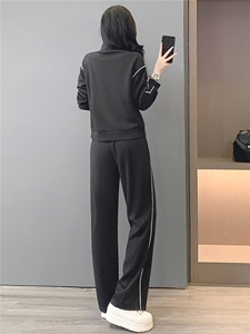 韩版休闲运动套装秋季新款女修身立领开衫卫衣直筒长裤两件套减龄图片