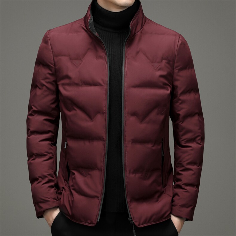 AN9877钱塘2020-3秋冬新款中年男士立领休闲简约羽绒服外套P142,男装羽绒服,钱塘207-3
