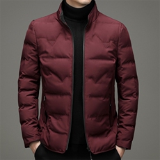 AN9877钱塘2020-3秋冬新款中年男士立领休闲简约羽绒服外套P142，男装羽绒服，钱塘207-3