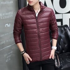大货不跑毛轻薄羽绒服男薄款立领连帽短款便携外贸大码778P55，男装羽绒服，星座1113
