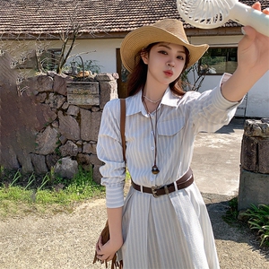 浅蓝色休闲条纹衬衫连衣裙女2025年夏季新款韩系设计感显瘦百褶裙图片