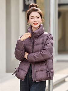 现货！优雅气质立领羽绒服女短款小个子时尚显瘦保暖大气刺绣上衣图片